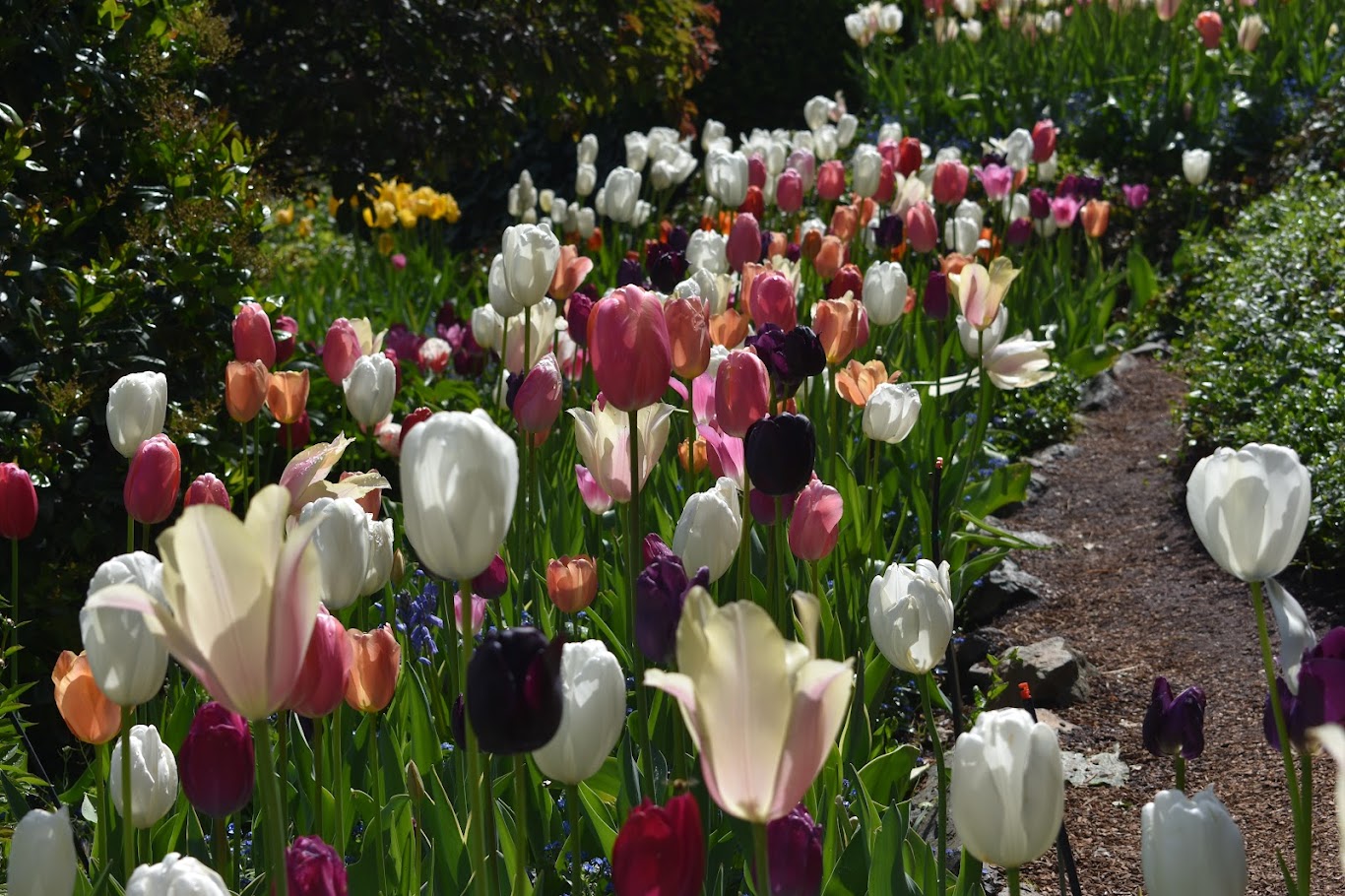 The Death of Jesus in Context