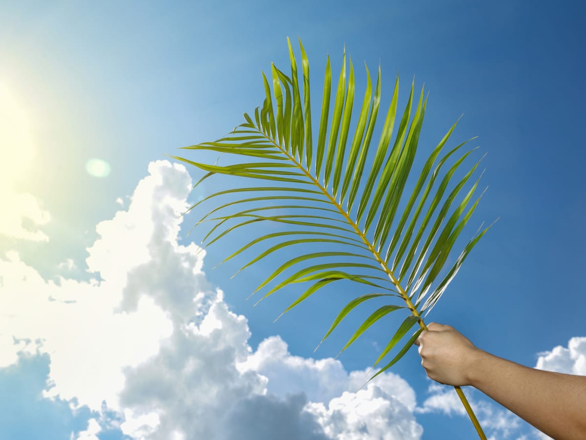 Palm Passion Sunday:                      An Alternative to Empire