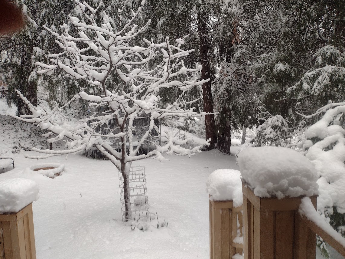 The God Who Creates is the God Who Saves